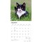 BrownTrout; Tuxedo Cats | 2027 12 x 24 Inch (Hanging) Monthly Square Wall Calendar | Plastic-Free; Category:Wall Calendars; Image:4